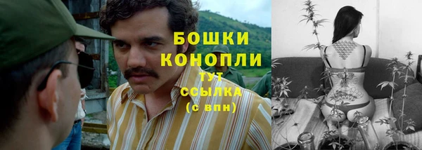 дурь Волосово