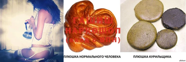 молекула духа Волоколамск