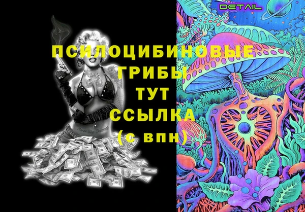 молекула духа Волоколамск