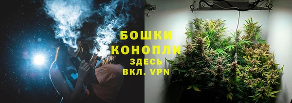 молекула духа Волоколамск
